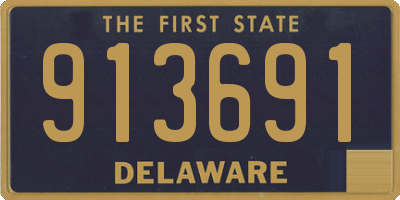 DE license plate 913691