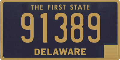 DE license plate 91389