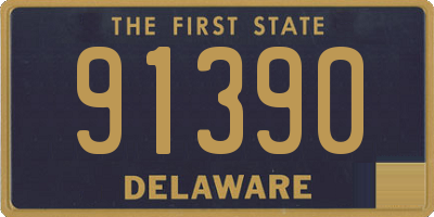 DE license plate 91390