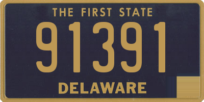 DE license plate 91391