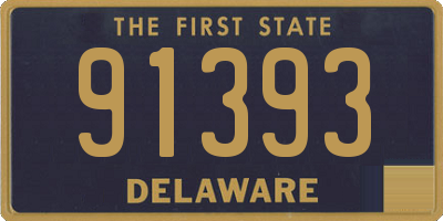 DE license plate 91393