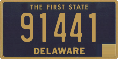DE license plate 91441