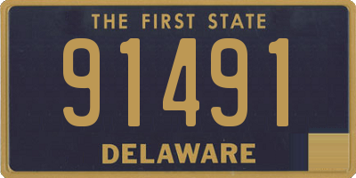 DE license plate 91491