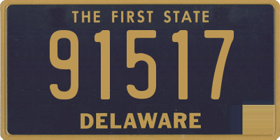 DE license plate 91517