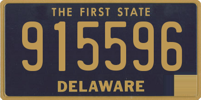 DE license plate 915596