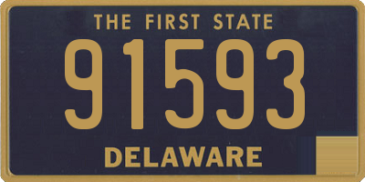 DE license plate 91593