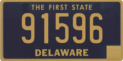 DE license plate 91596