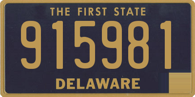 DE license plate 915981