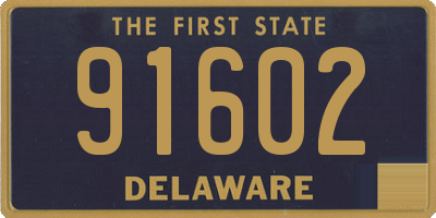 DE license plate 91602