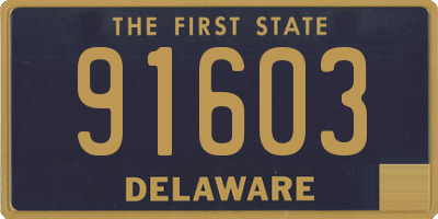 DE license plate 91603