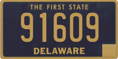 DE license plate 91609