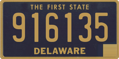 DE license plate 916135