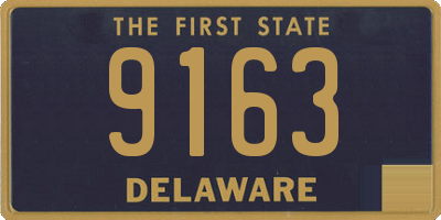 DE license plate 9163