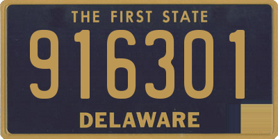 DE license plate 916301