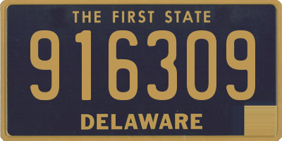 DE license plate 916309