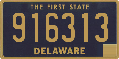 DE license plate 916313