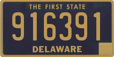 DE license plate 916391