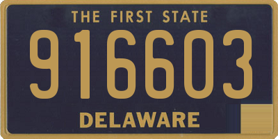 DE license plate 916603