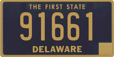 DE license plate 91661