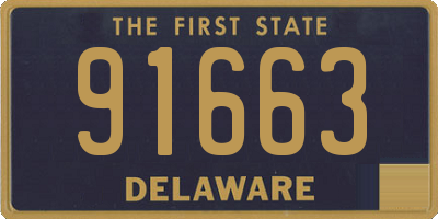 DE license plate 91663