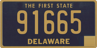 DE license plate 91665