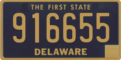 DE license plate 916655