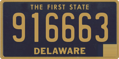 DE license plate 916663