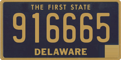 DE license plate 916665