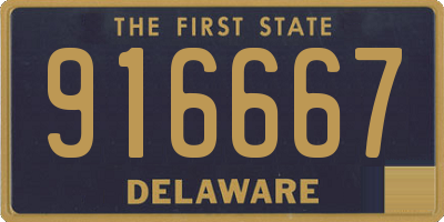 DE license plate 916667
