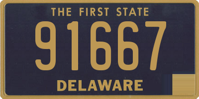 DE license plate 91667