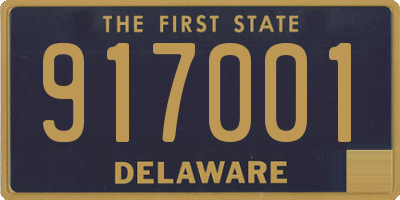 DE license plate 917001