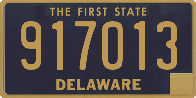 DE license plate 917013