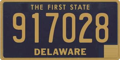 DE license plate 917028