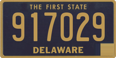 DE license plate 917029