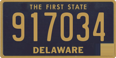 DE license plate 917034