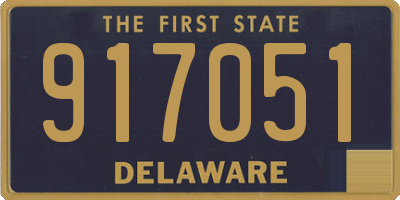DE license plate 917051