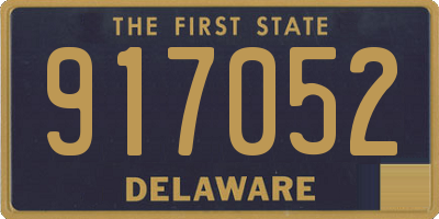 DE license plate 917052