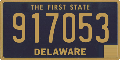 DE license plate 917053