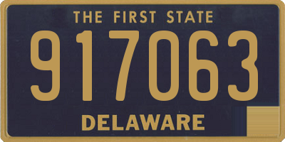DE license plate 917063