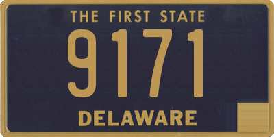 DE license plate 9171