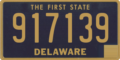 DE license plate 917139