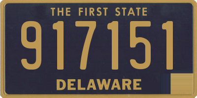 DE license plate 917151