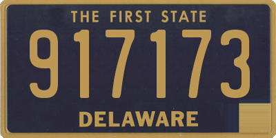 DE license plate 917173