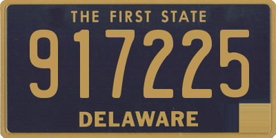 DE license plate 917225