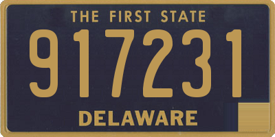 DE license plate 917231