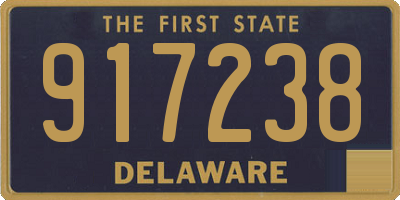 DE license plate 917238