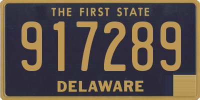 DE license plate 917289