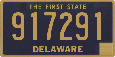 DE license plate 917291