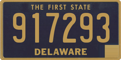 DE license plate 917293