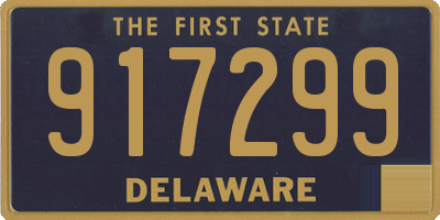 DE license plate 917299